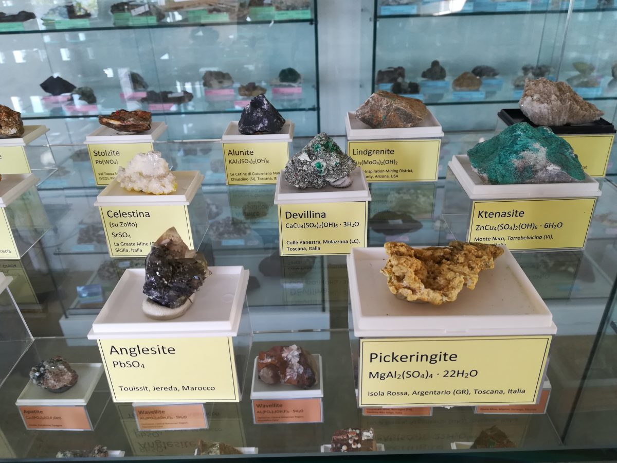 Università: donata a Uniurb raccolta di minerali da collezionista